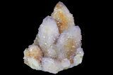 Cactus Quartz (Amethyst) Crystal Cluster - South Africa #180720-1